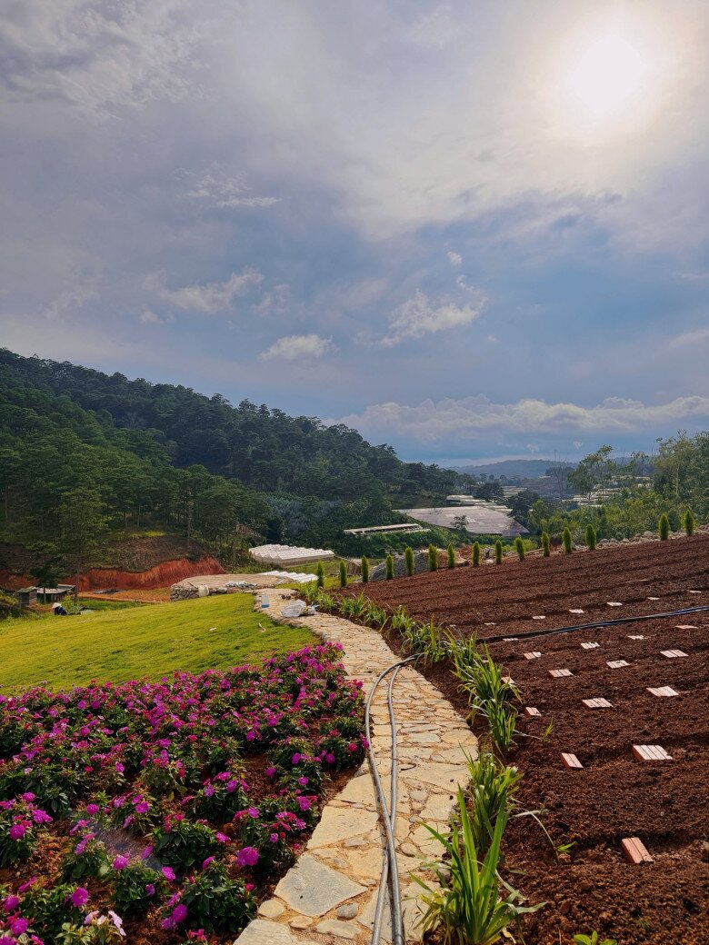 Một Hoa hậu Việt trẻ tuổi amp;#34;chuyển khẩuamp;#34; về Đà Lạt, có cơ ngơi đầy hoa cỏ và hồ cá đẹp như tiên cảnh - 10