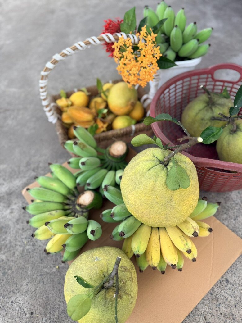 Nữ đại gia Vbiz thích làm nông dân: Khu đất mới đếm mỏi tay không hết cây trái, vườn tược rộng thênh thang - 25