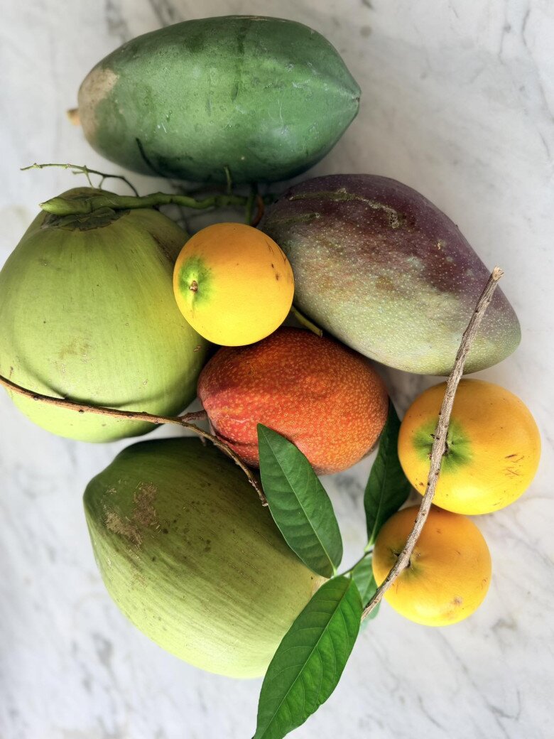 Nữ đại gia Vbiz thích làm nông dân: Khu đất mới đếm mỏi tay không hết cây trái, vườn tược rộng thênh thang - 24