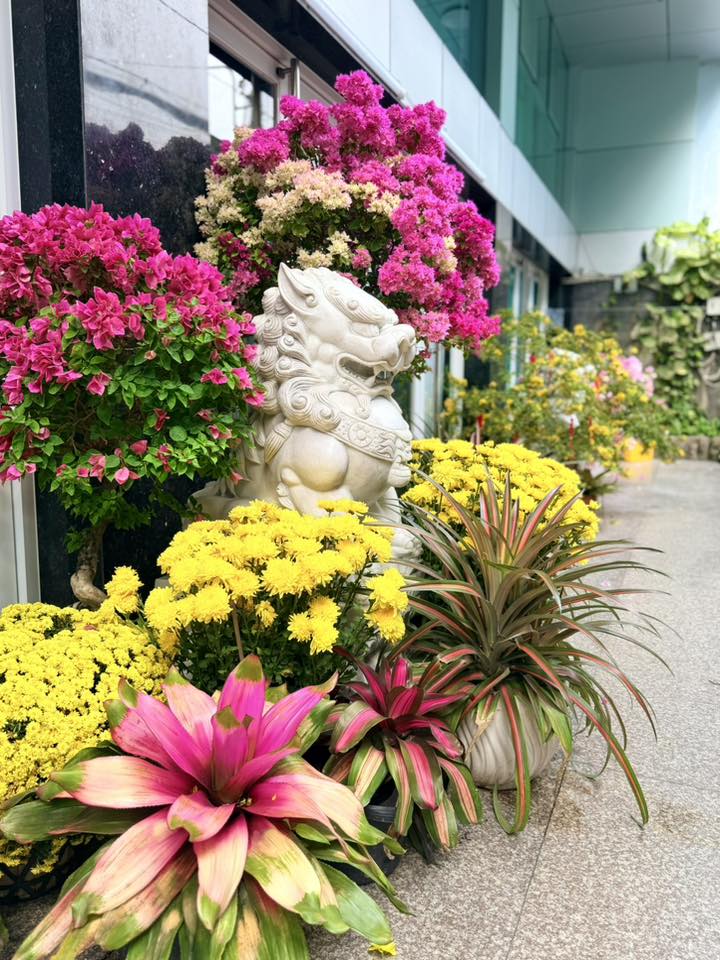 Có thể thấy, Mỹ Lệ rất yêu thiên nhiên nên đã khéo léo tô điểm cho không gian sống của mình tràn ngập sắc màu cây cỏ.