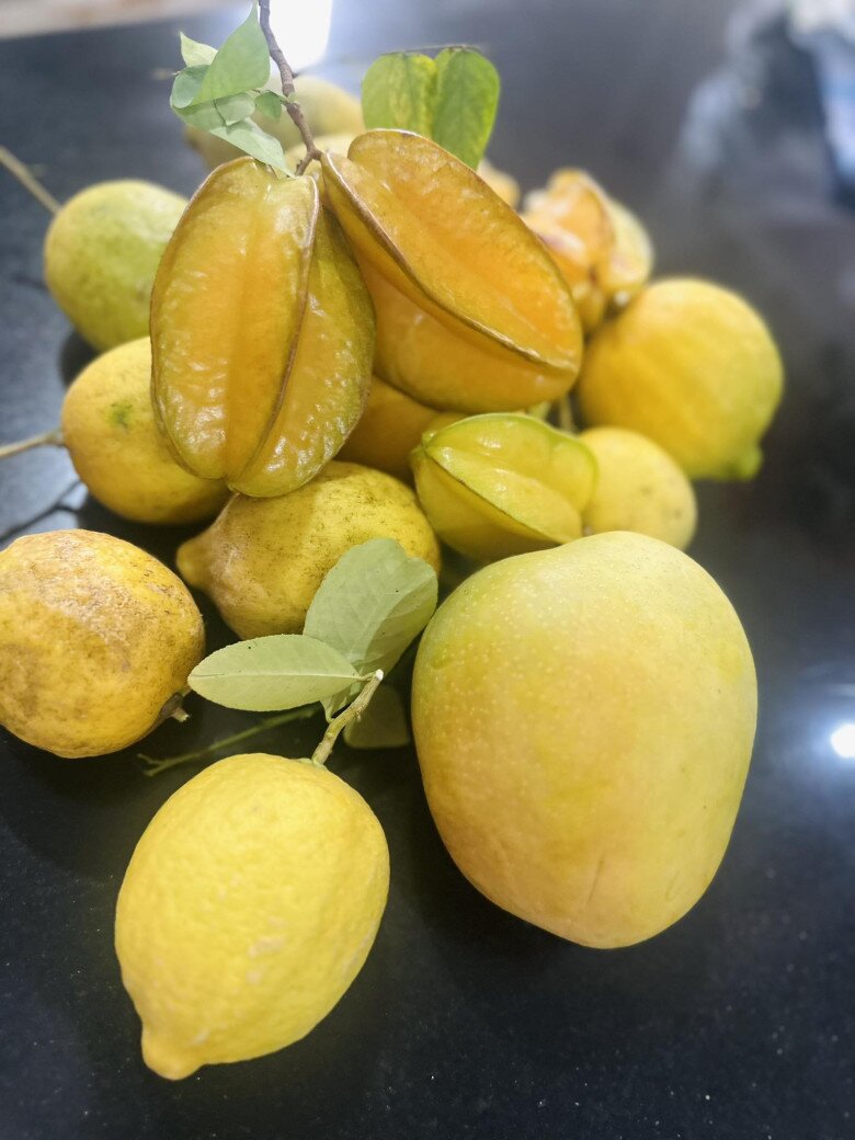 Mỹ Lệ chia sẻ rằng: Trồng trọt một năm vất vả chỉ để dành trang trí cho Tết, từ mâm ngũ quả cho đến hoa trang trí không phải tốn nhiều tiền mua, cắt lá vào trang trí là đủ đẹp rồi, nông dân o vui tươi đón Tết.