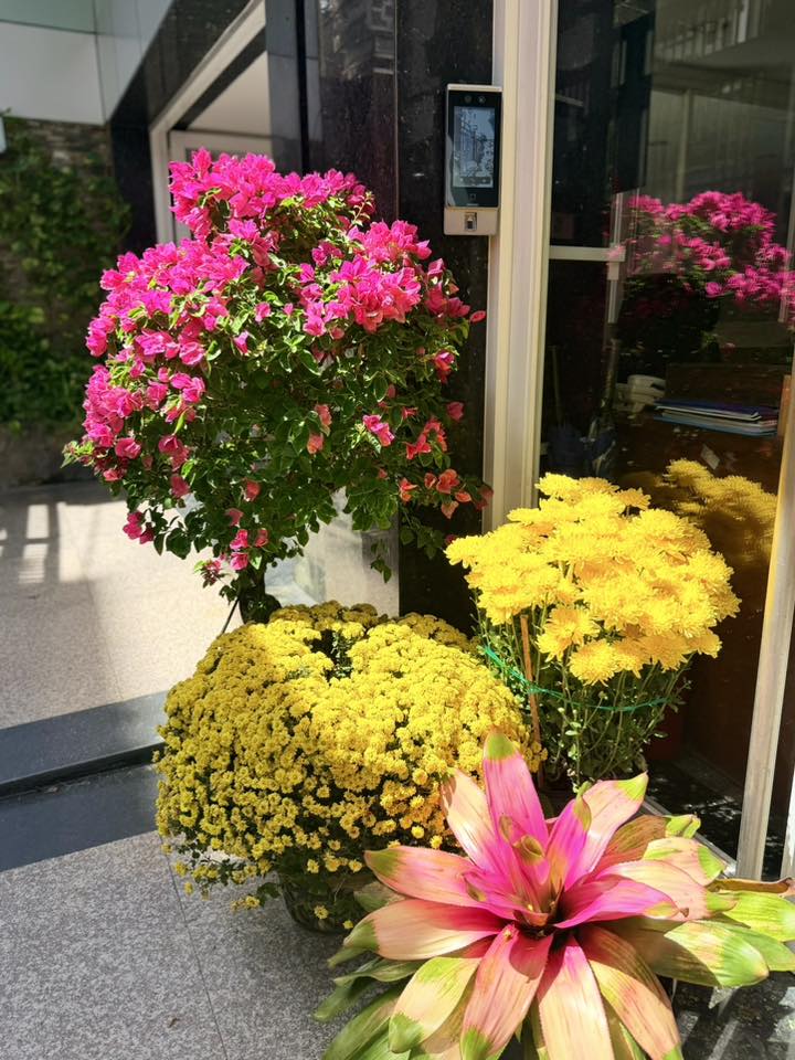 Ngoài vườn, ngoài cổng, thềm nhà hay trong nhà đều có sự hiện diện của các loài hoa như hoa giấy, hoa cúc, mai hoàng kim...