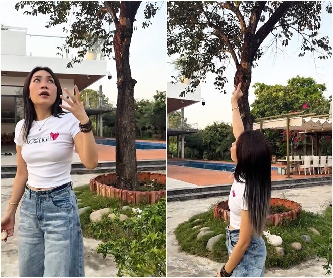 Dù rất hào hứng với việc thu hoạch, nhưng với Mỹ Tâm, niềm vui tinh thần mới là điều quan trọng nhất: Mình không cần ăn mà mình thấy trái là mình đã vui rồi. Mình cảm ơn người trồng đã chăm bón và mình cảm ơn cái cây đã cố gắng vươn lên và cho mình trái thành quả. Mình rất là hạnh phúc!