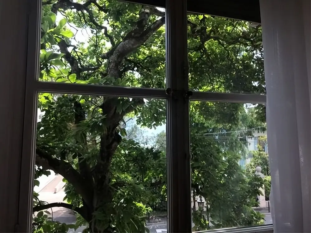 Người xưa dặn: “Cửa chính không hướng 3, cửa sổ không mở 4”, nhưng đây không phải mê tín - 2