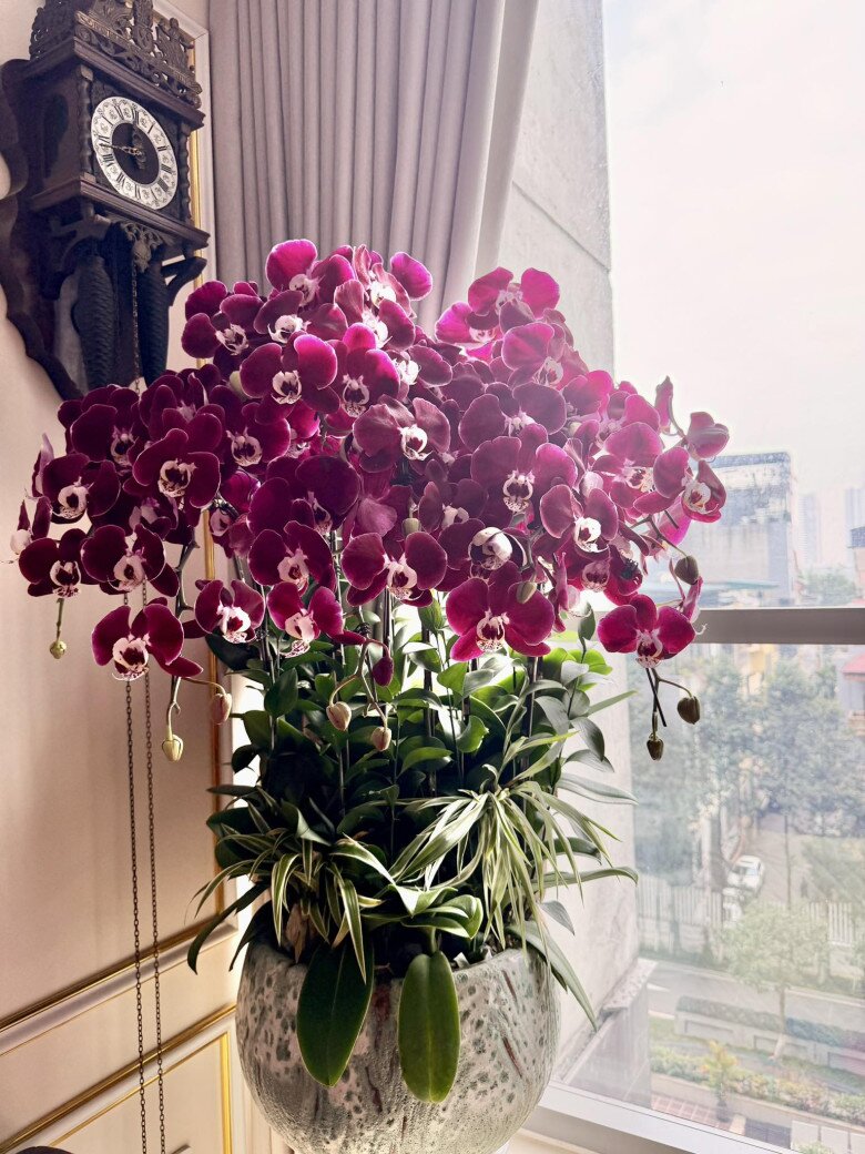 Mỗi ngóc ngách trong nhà đều mang đậm hơi thở của thiên nhiên. Những bình lan tím tạo nên một vẻ đẹp lãng mạn nhưng không kém phần sang trọng.