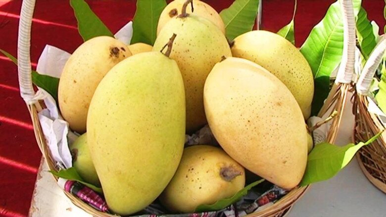 Rằm tháng Chạp cắm 4 loại hoa tụ cát khí, trưng 5 loại quả giữ phúc lành, gia đình gặp nhiều may mắn - 5