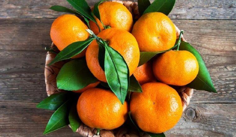 Rằm tháng Chạp cắm 4 loại hoa tụ cát khí, trưng 5 loại quả giữ phúc lành, gia đình gặp nhiều may mắn - 4