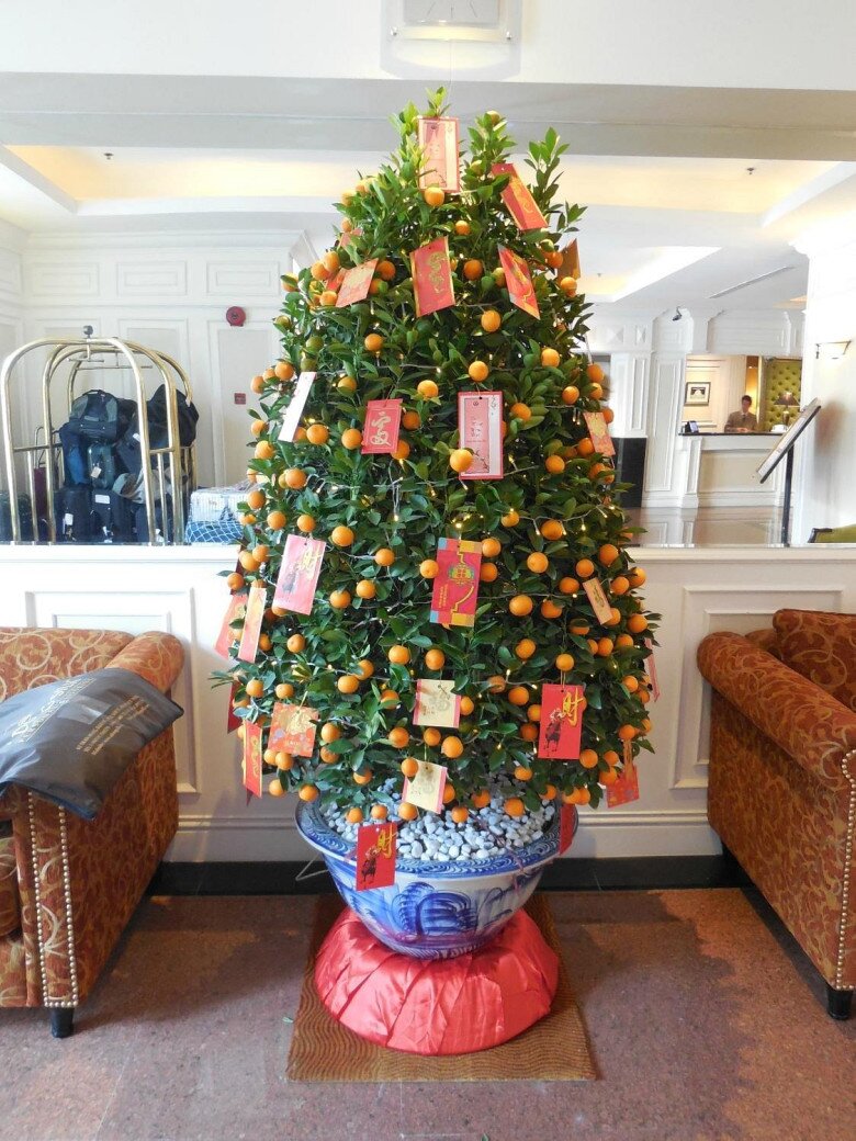 Sắm hoa Tết n&ecirc;n chọn kỹ, 5 loại hoa n&agrave;y rất &ldquo;đ&aacute;ng đồng tiền b&aacute;t gạo&rdquo;, chơi xong vẫn c&oacute; thể trồng lại trong vườn nh&agrave; - 5