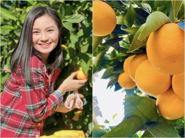 "Em gái Hồng Đăng" rời showbiz cùng chồng con sang Mỹ, nay khoe khu vườn xinh trĩu quả "đã mắt"