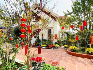 Trồng 10 loại hoa này trước cửa nhà đón Tết Nguyên đán, năm mới tài vận lên cao, gia chủ yên tâm hưởng phúc