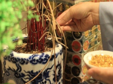 Nhà đẹp - Rằm tháng Chạp thêm thứ này vào bát hương, tài lộc ùa về, sang năm Bính Ngọ 2026 làm gì cũng thuận lợi