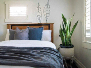 Gợi ý các cây cảnh trong phòng ngủ hợp mệnh 12 con giáp để mang lại vượng khí, phát tài