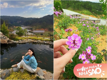 Một Hoa hậu Việt trẻ tuổi "chuyển khẩu" về Đà Lạt, có cơ ngơi đầy hoa cỏ và hồ cá đẹp như tiên cảnh