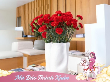 6 loại hoa đẹp sang bền hơn 30 ngày, Tết trưng một bình trong nhà đón tài lộc, may mắn cả năm