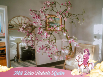 Nhà đẹp - 7 loài hoa đậm khí chất vương giả được ưa chuộng năm 2026, rất hợp năm Hỏa vượng, trưng trong nhà giúp rước lộc, tiền đồ như gấm