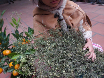 5 việc nên làm trong những ngày tất niên để khởi đầu năm mới Bính Ngọ 2026 hanh thông, tài lộc