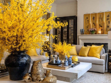 6 cây cảnh chứa vàng, người giàu thích trưng trong nhà dịp năm mới, gia đình giàu có, thịnh vượng kéo dài