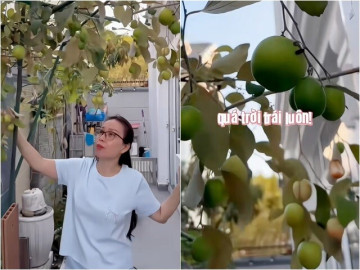 Cẩm Ly khoe "cây táo nở hoa" và điều kỳ lạ trong khu vườn ở biệt thự triệu đô 400m2