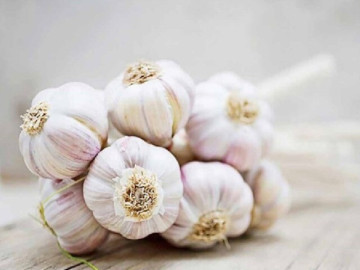 Vị trí đặt tỏi trong nhà giúp xua đuổi vận xui, đem lại tài lộc và bình an