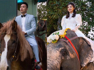 Đám cưới cưỡi voi, cưỡi ngựa độc nhất Việt Nam của cặp NSƯT xiếc