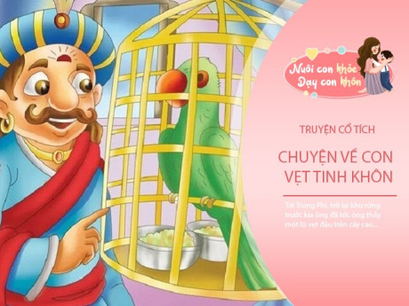 Truyện cổ tích: Con vẹt tinh khôn