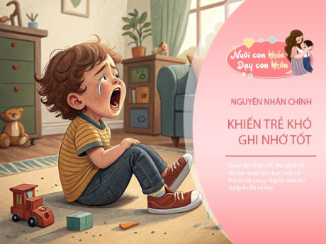 Nhiều trẻ trở nên "não yếu", chuyên gia chỉ ra 3 nguyên nhân, điện thoại chưa phải điều đáng lo nhất