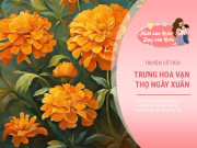 Truyện cổ tích: Sự tích hoa cúc vạn thọ