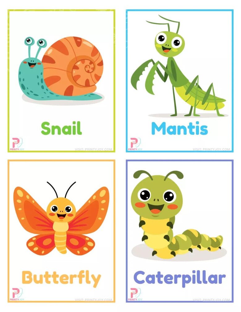 Những bức tranh flashcard dạy bé nhận biết các loài động vật bằng Tiếng Anh, học đơn giản nhưng nhớ lâu - 8