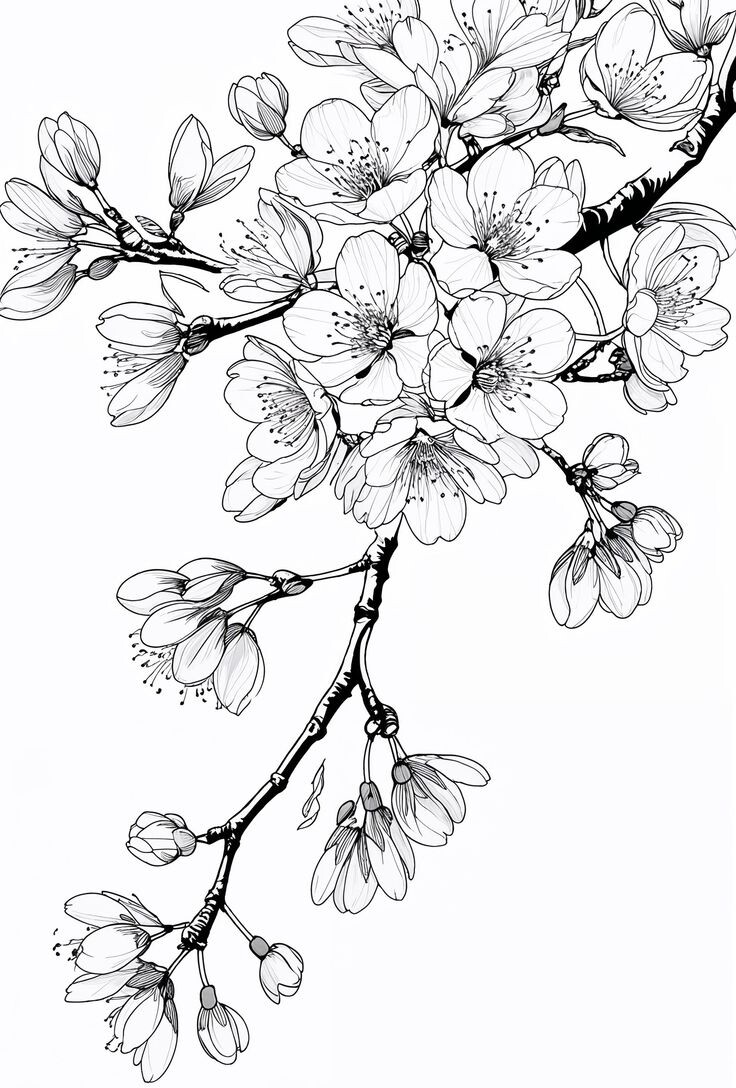 Tranh tô màu hoa đào, hoa mai giúp bé mầm non cảm nhận mùa xuân và hiểu về Tết Việt - 13