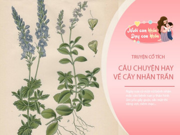 Truyện cổ tích: Sự tích cây nhân trần