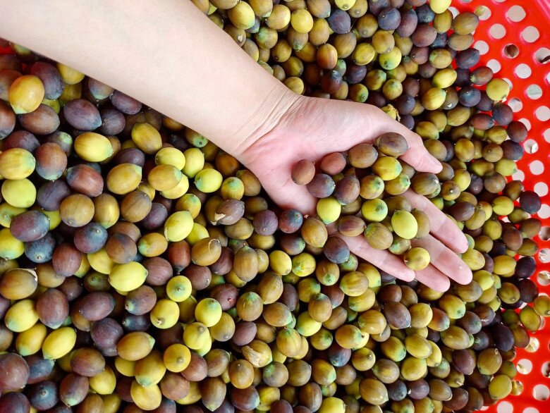 Món nhà nghèo xưa ăn đến chán ngán, nay thành đặc sản được ưa chuộng vì hương vị lạ, tốt cho sức khoẻ - 2