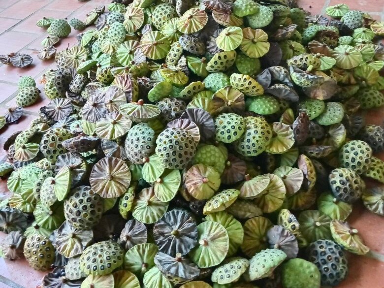 Món nhà nghèo xưa ăn đến chán ngán, nay thành đặc sản được ưa chuộng vì hương vị lạ, tốt cho sức khoẻ - 3