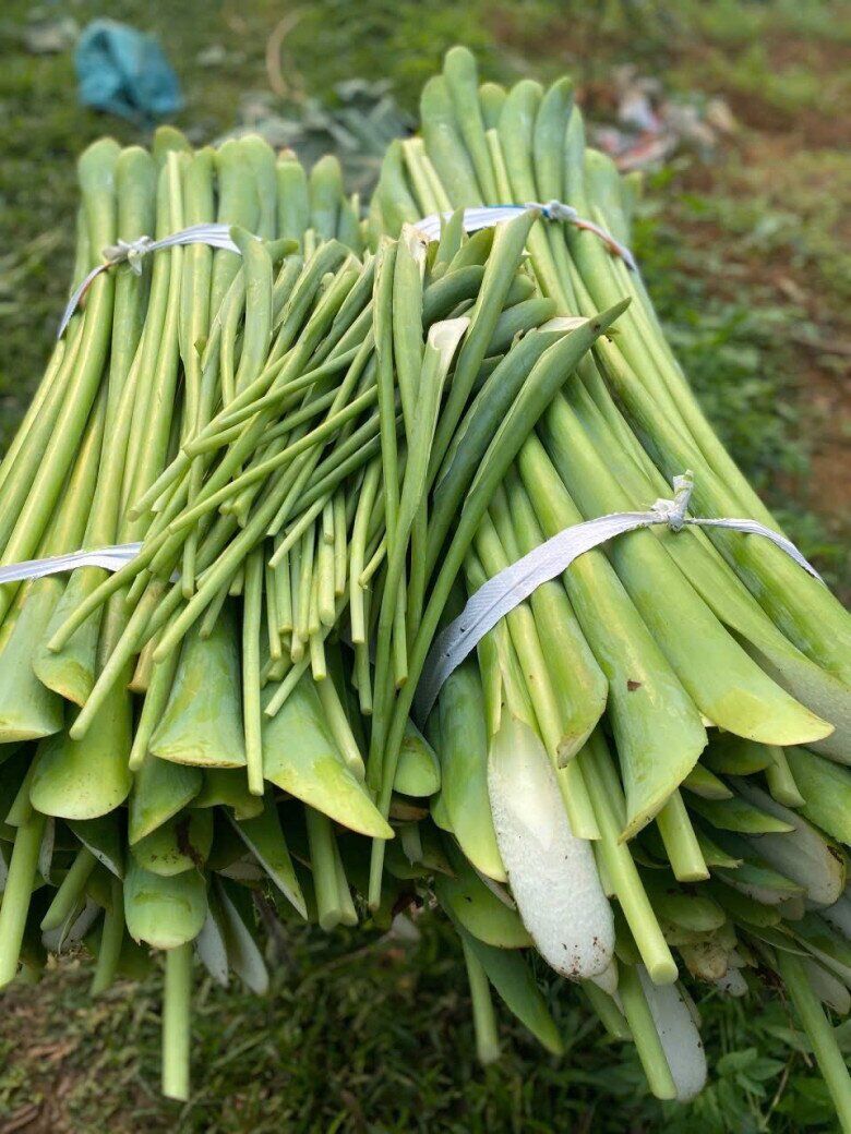 Cây dại mọc bờ mương xưa cho lợn ăn, nay thành đặc sản khoái khẩu giá 80.000 đ/kg, tốt cho sức khoẻ - 4