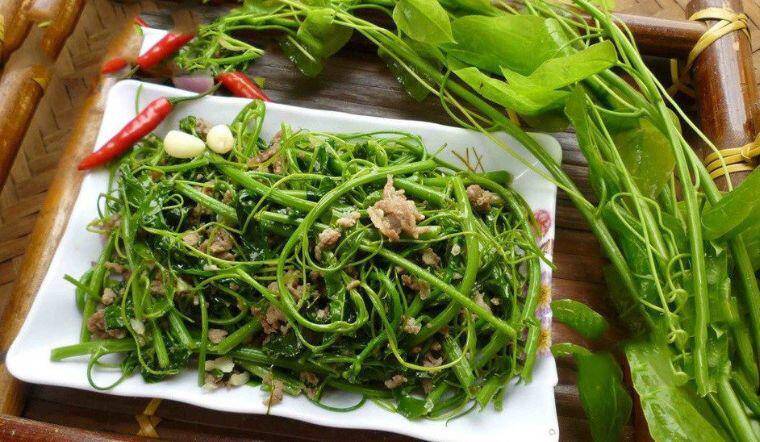 Cây mọc dại được ví như amp;#34;rau trường sinhamp;#34;, trồng một lần hái bán quanh năm, thành đặc sản nổi tiếng - 2