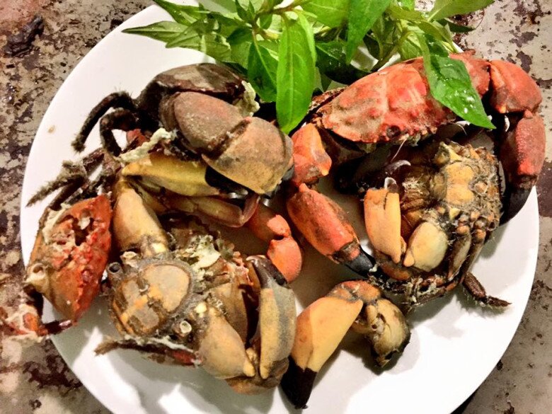 Đặc sản có tên kỳ cục, ngon hơn ghẹ rẻ hơn cua được du khách amp;#34;săn lùngamp;#34;, muốn ăn nhất định phải đến nơi này - 4