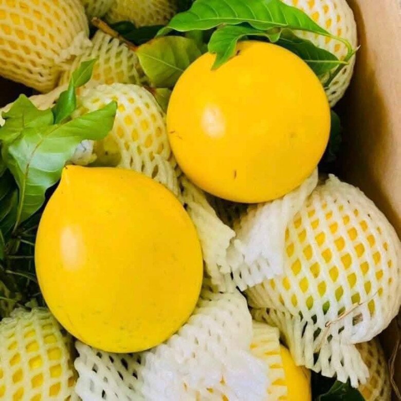 Đặc sản có tên amp;#34;ngượng đỏ mặtamp;#34;, xưa không ai biết nay được ưa chuộng dịp Tết giá 80.000 đ/kg, thu hoạch quanh năm - 3