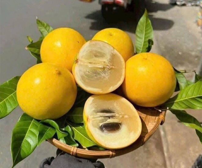 Đặc sản có tên amp;#34;ngượng đỏ mặtamp;#34;, xưa không ai biết nay được ưa chuộng dịp Tết giá 80.000 đ/kg, thu hoạch quanh năm - 1