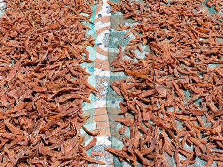 Món "nhà nghèo" xưa ăn đến chán ngán, nay thành đặc sản khoái khẩu 170.000 đồng/kg, tốt cho sức khoẻ