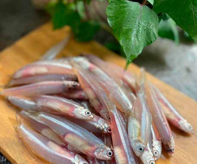 Loài cá quen thuộc nghe đã thấy amp;#34;no đủamp;#34;, xưa giá rẻ nay thành đặc sản 170.000 đ/kg, giàu canxi gấp 25 lần cá hồi - 1