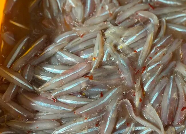 Loài cá quen thuộc nghe đã thấy amp;#34;no đủamp;#34;, xưa giá rẻ nay thành đặc sản 170.000 đ/kg, giàu canxi gấp 25 lần cá hồi - 3