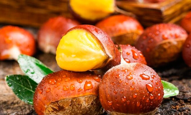 Loại hạt amp;#34;tốt nhất thế giớiamp;#34;, Việt Nam trồng bạt ngàn thành đặc sản đắt khách dịp Tết, tốt cho sức khoẻ - 2