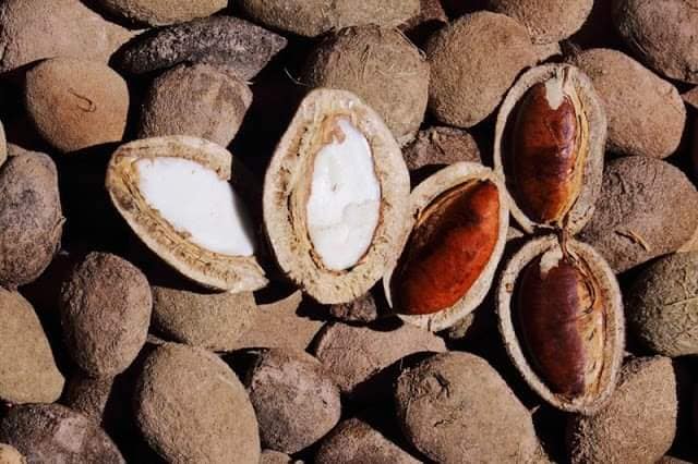 Loại hạt xưa rụng đầy gốc không ai ăn, giờ thành đặc sản được ưa chuộng, 150.000 đồng/kg amp;#34;cháy hàngamp;#34; dịp Tết - 2