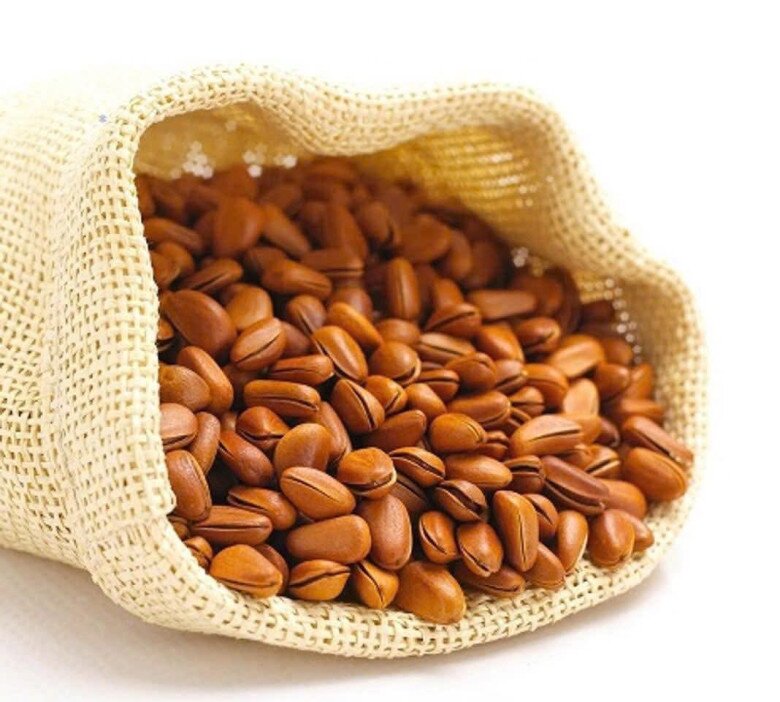 Loại quả đắt đỏ bậc nhất thế giới, Việt Nam trồng bạt ngàn thành đặc sản nổi tiếng 400.000 đồng/kg, tốt cho sức khoẻ - 2