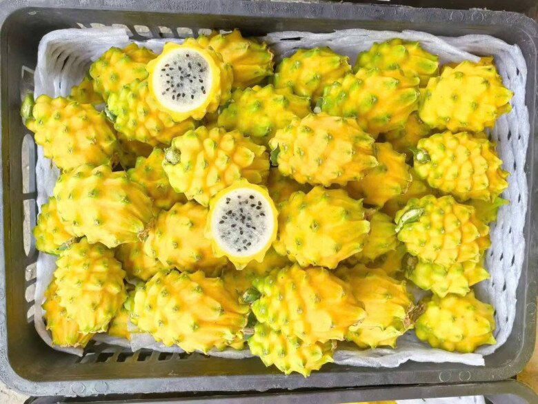 Loại quả đắt nhất thế giới, Việt Nam trồng 10 tháng cho thu hoạch, thành đặc sản nổi tiếng tốt cho sức khoẻ - 3