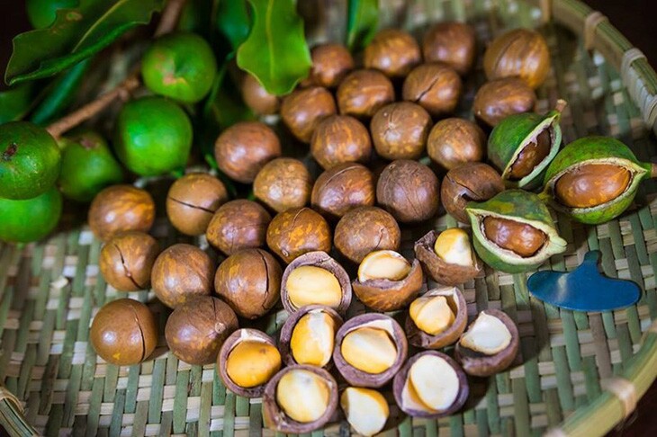 Loại quả đắt nhất thế giới, Việt Nam trồng bạt ngàn thu hoạch nhiều năm, thành đặc sản tốt cho sức khoẻ - 4