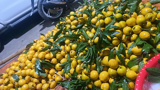 Loại quả xưa chín rụng đầy sân nay thành đặc sản, trồng một lần thu hoạch nhiều năm, tốt cho sức khoẻ - 4