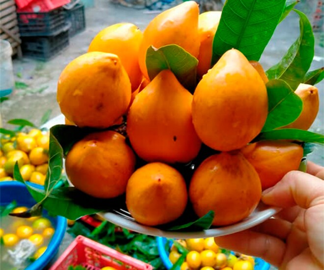 Loại quả xưa chín rụng đầy sân nay thành đặc sản, trồng một lần thu hoạch nhiều năm, tốt cho sức khoẻ - 1