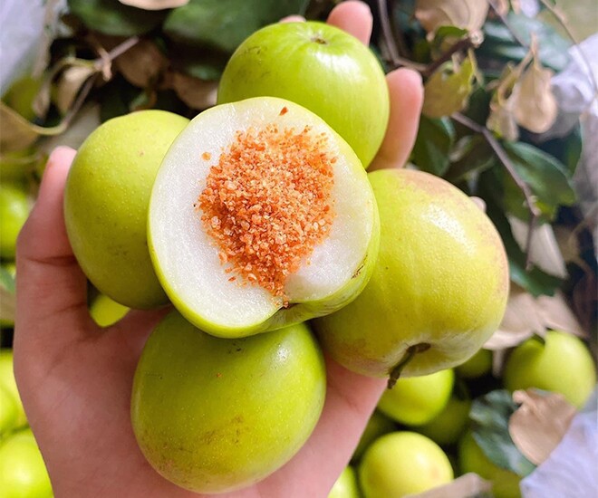 Loại quả “tốt nhất thế giới” chỉ có ở Khánh Hoà, thành đặc sản nổi tiếng hút khách dịp Tết, tốt cho sức khoẻ - 1