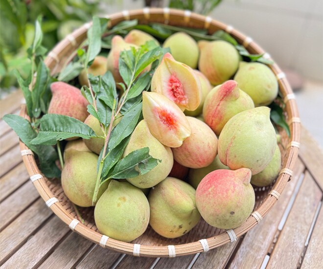 Loại quả “tốt nhất thế giới” chỉ có ở Lào Cai, thành đặc sản nổi tiếng 70.000 đồng/kg, trồng một lần thu hoạch nhiều năm - 1