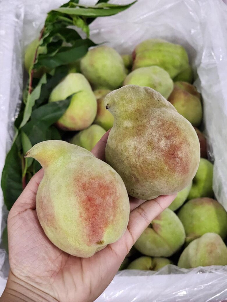 Loại quả “tốt nhất thế giới” chỉ có ở Lào Cai, thành đặc sản nổi tiếng 70.000 đồng/kg, trồng một lần thu hoạch nhiều năm - 2